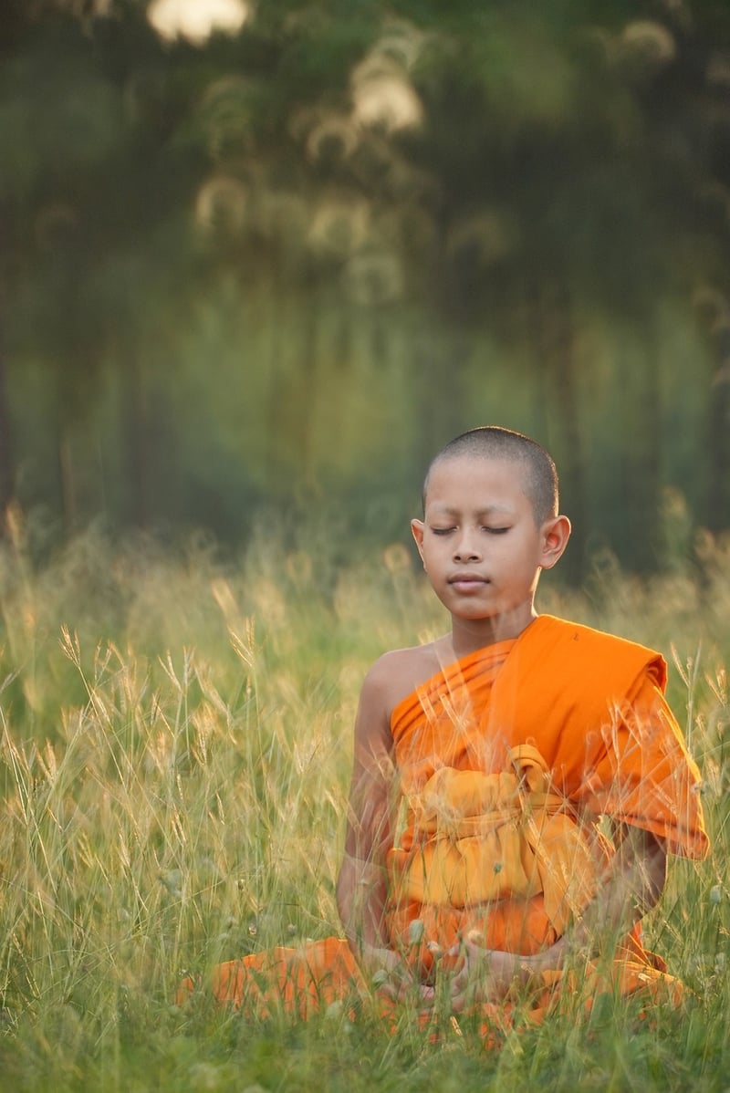 Somatic Movement